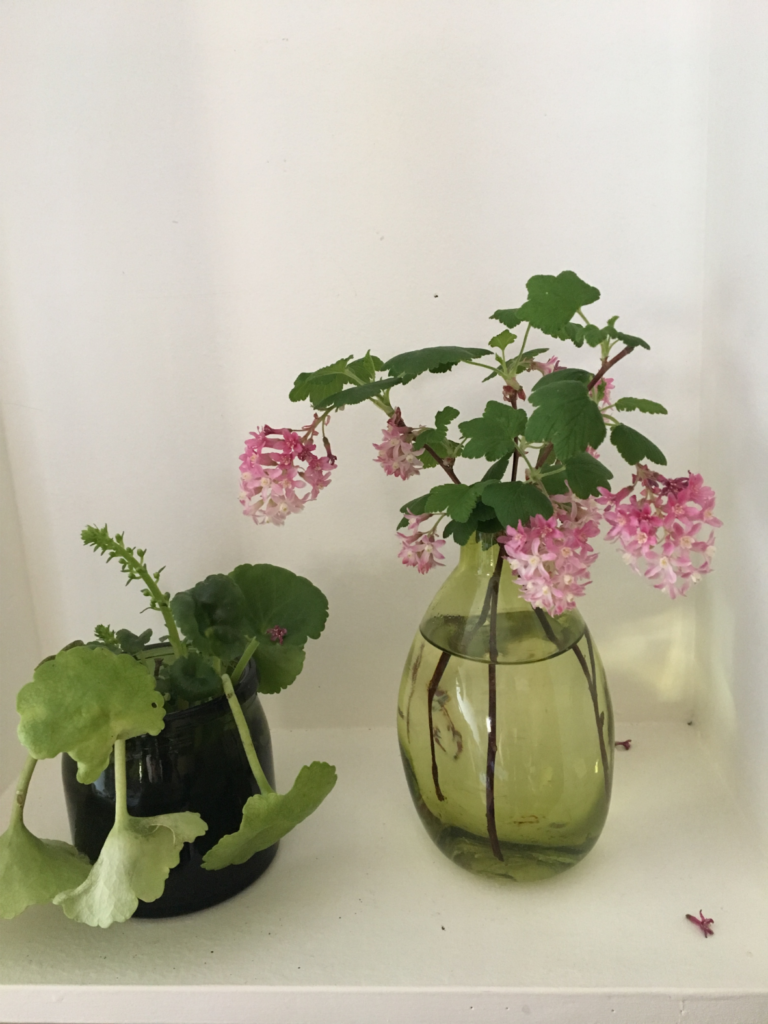 3 Deux petits vases avec cassis fleur et feuille de nombril de Vénus