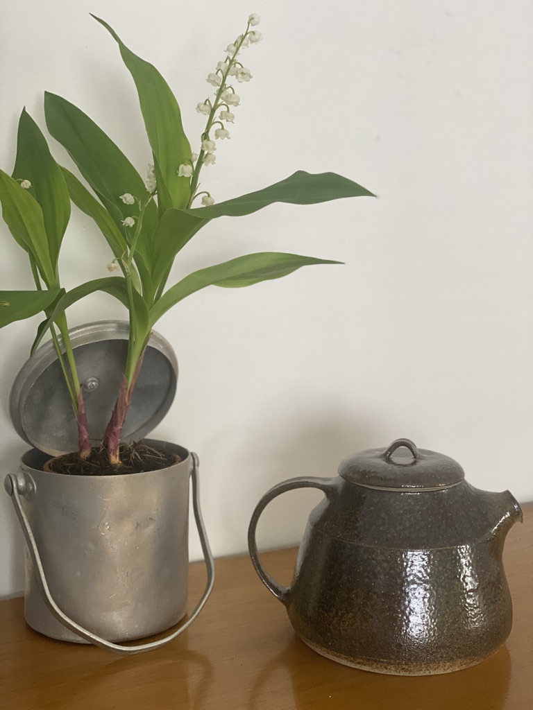 Une petite plante en pot avec des feuilles vertes et des fleurs blanches se trouve à côté d'une théière en grès foncé sur une surface en bois.
